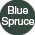 Blue Spruc